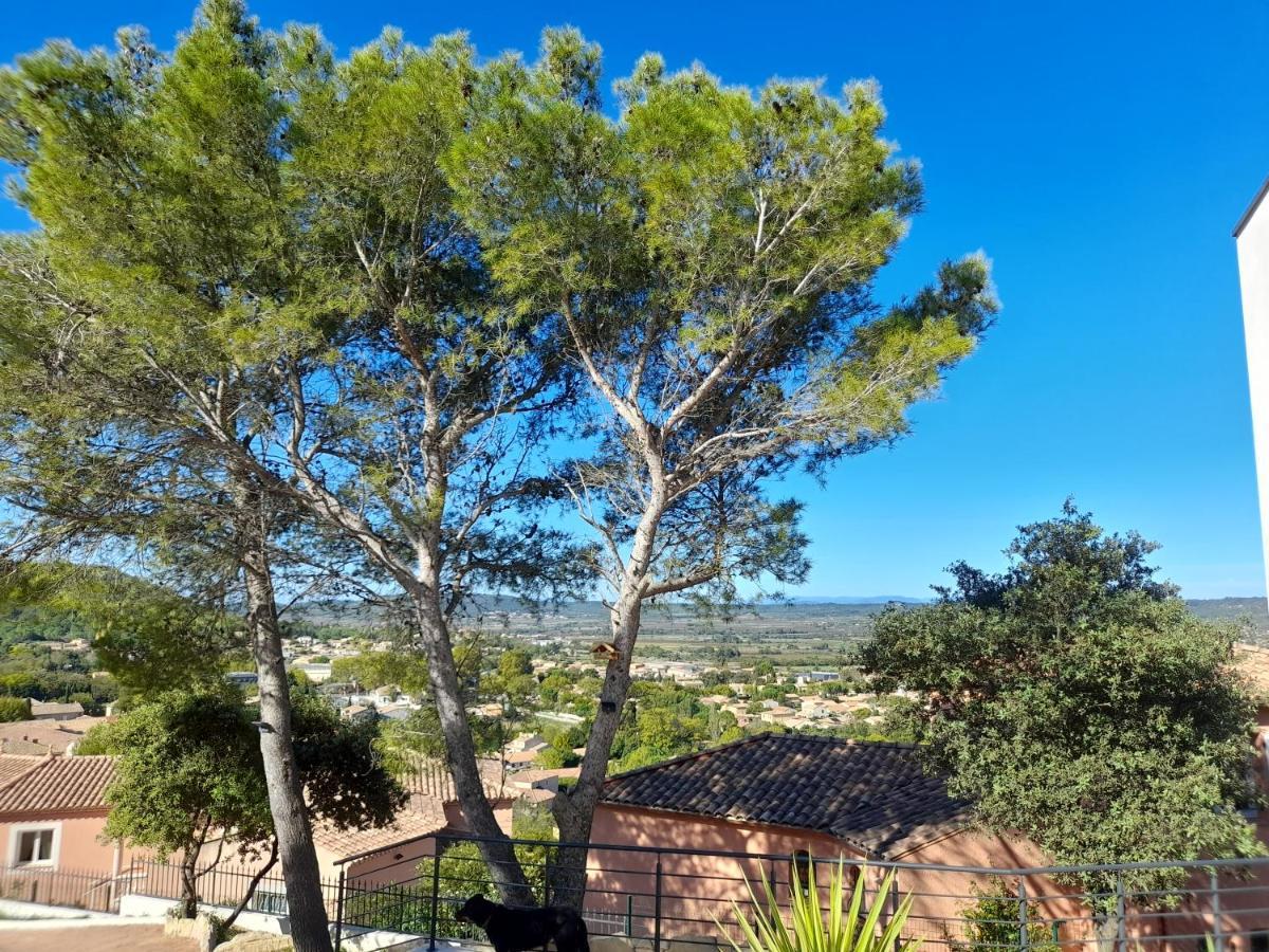 Studio Du Roc Des Garrigues Langlade Exterior photo